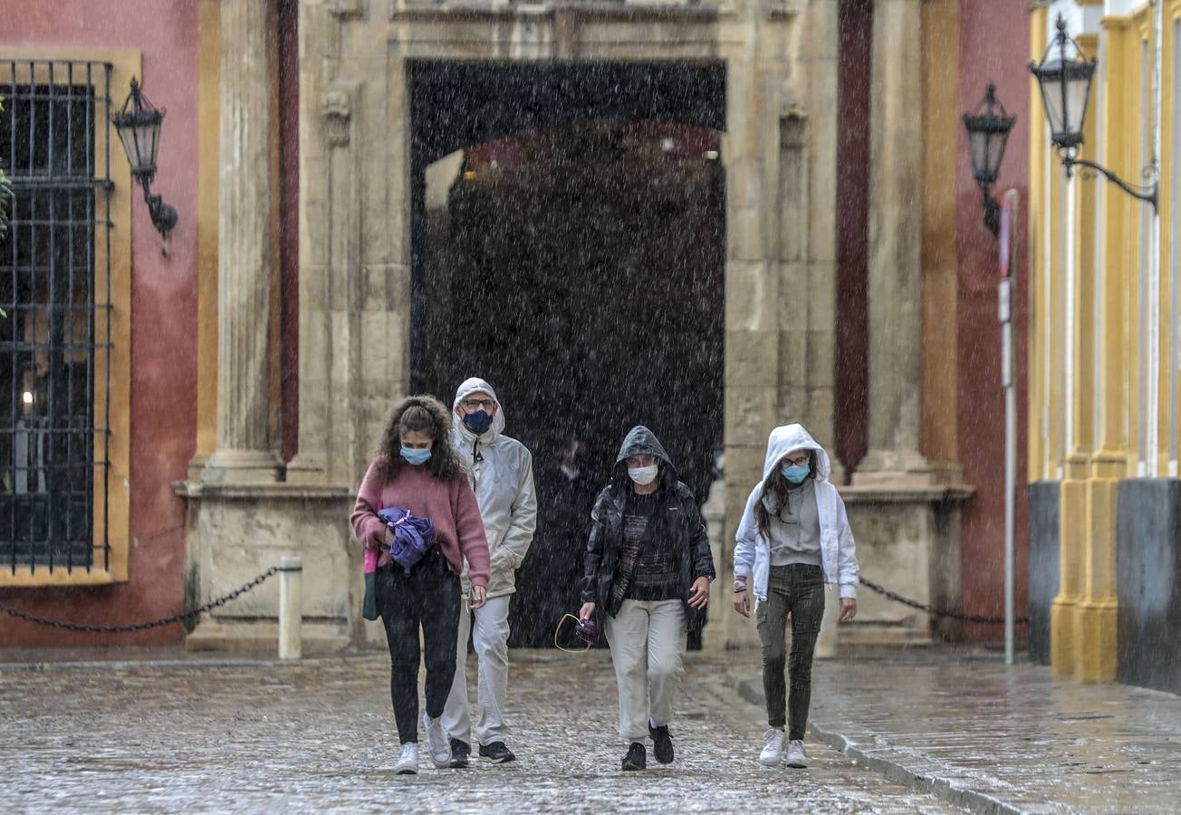 En imágenes, jueves lluvioso en Sevilla