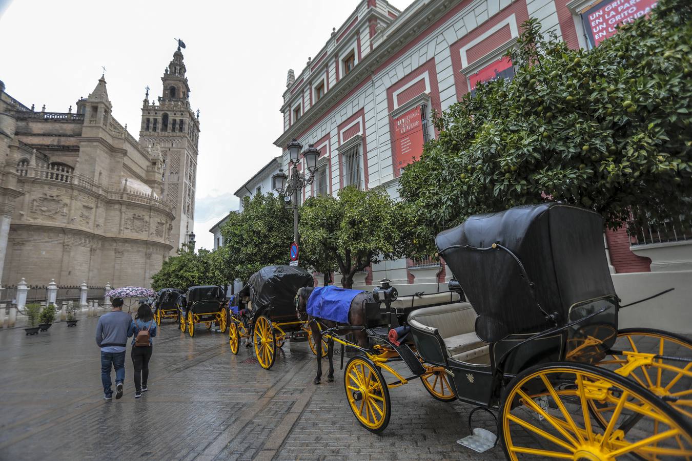 En imágenes, jueves lluvioso en Sevilla