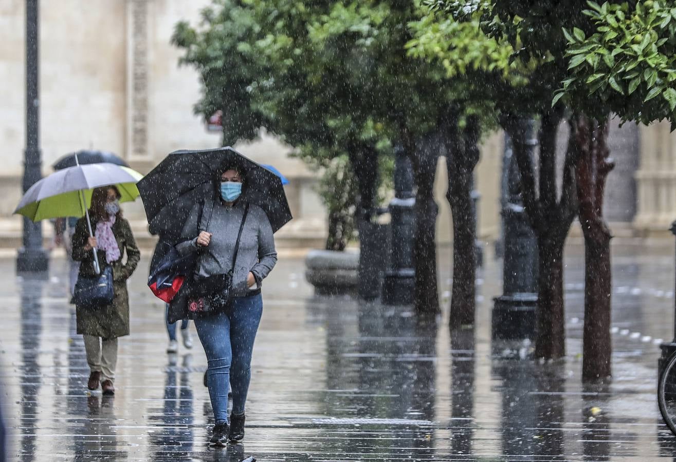 En imágenes, jueves lluvioso en Sevilla