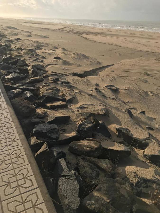 En imágenes, restos fecales en el paseo y playa de Matalascañas