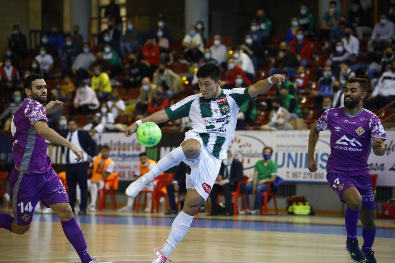 El empate entre el Córdoba Patrimonio y el Palma Futsal, en imágenes