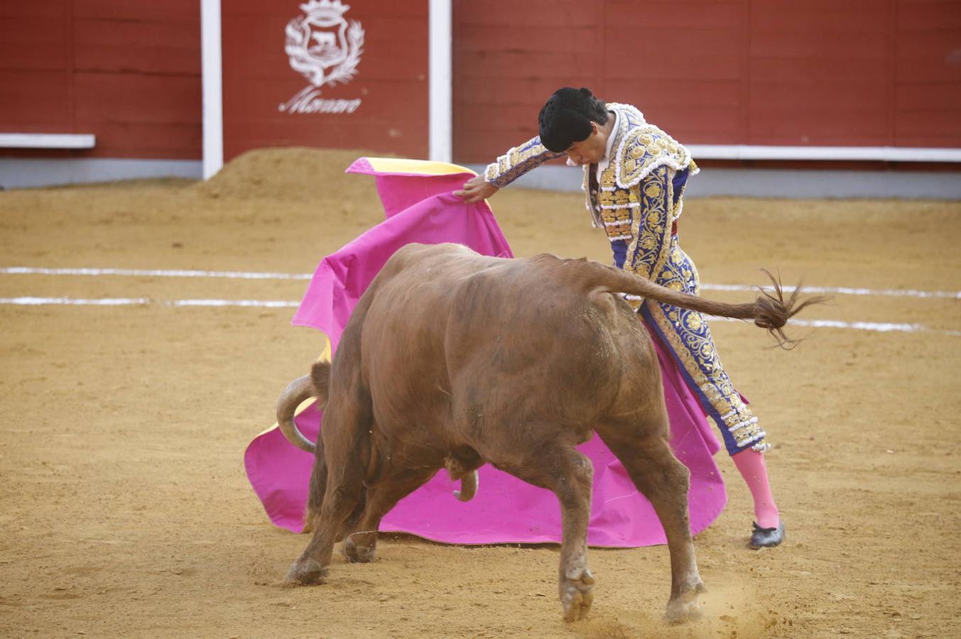 La corrida de Toros de Montoro, en imágenes