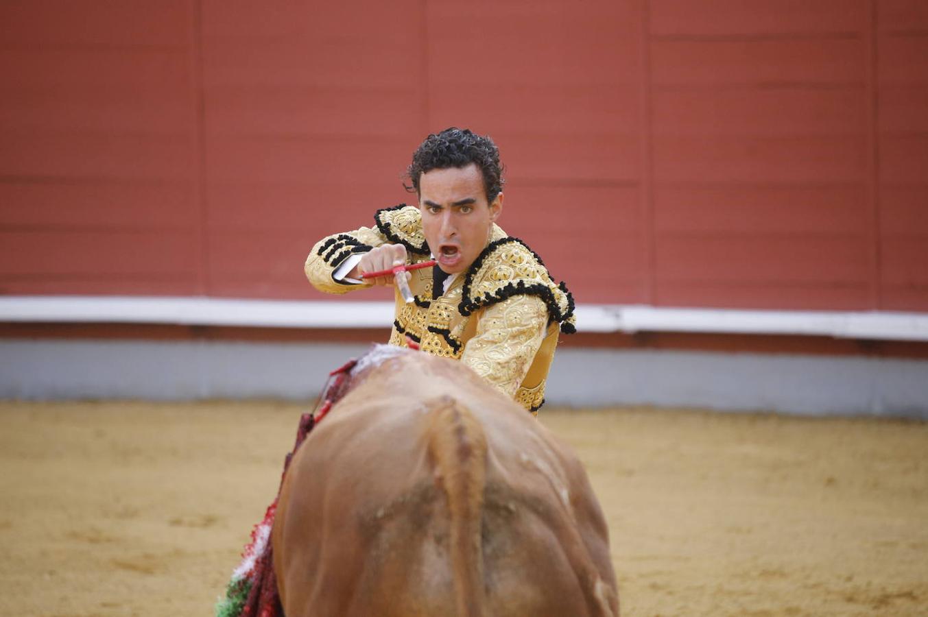 La corrida de Toros de Montoro, en imágenes