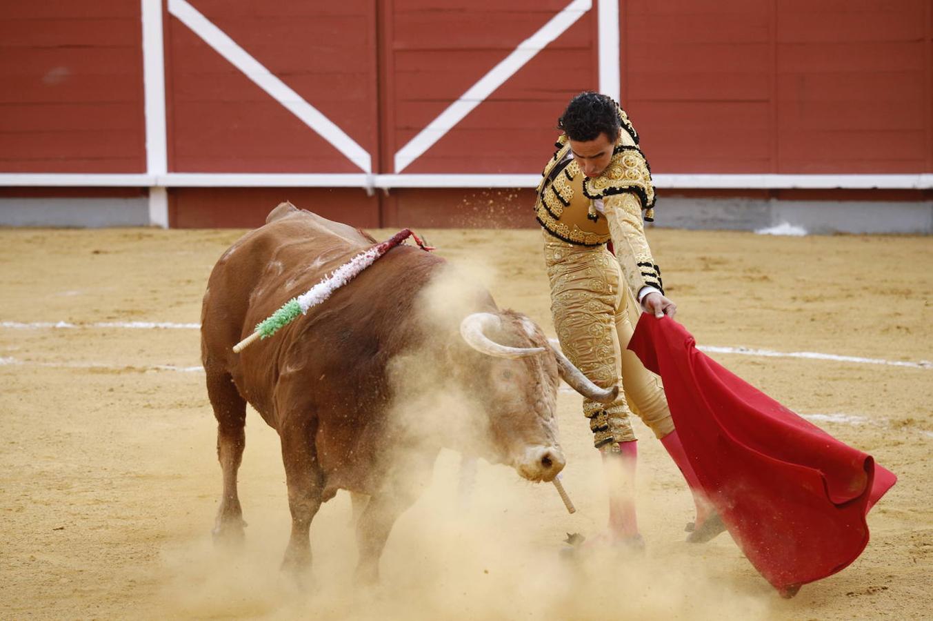 La corrida de Toros de Montoro, en imágenes