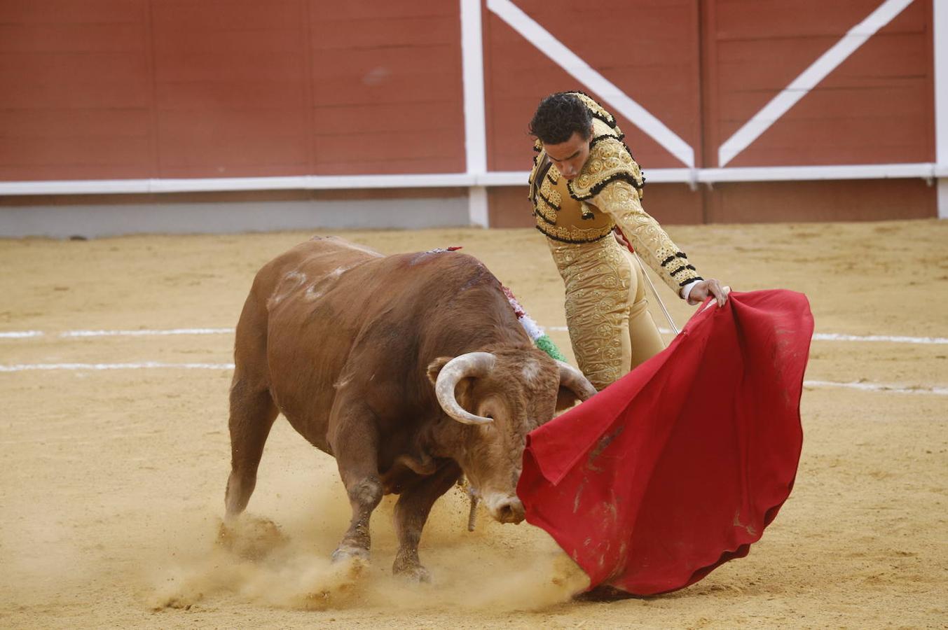 La corrida de Toros de Montoro, en imágenes