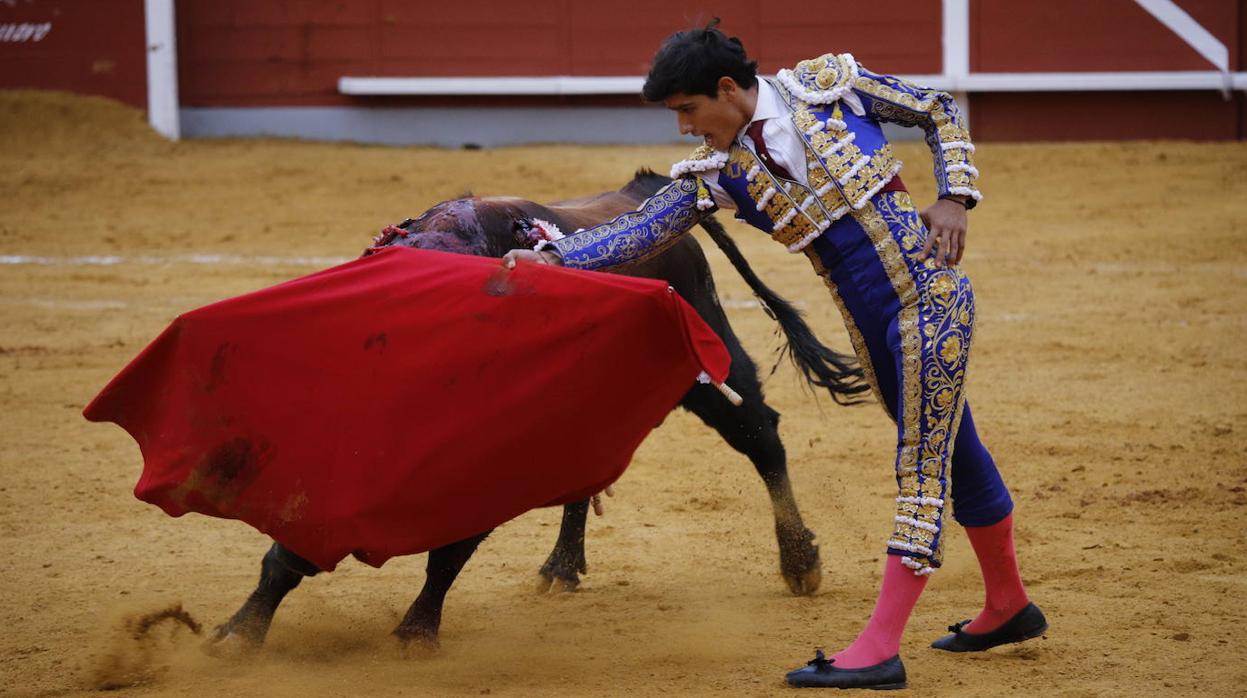 La corrida de Toros de Montoro, en imágenes