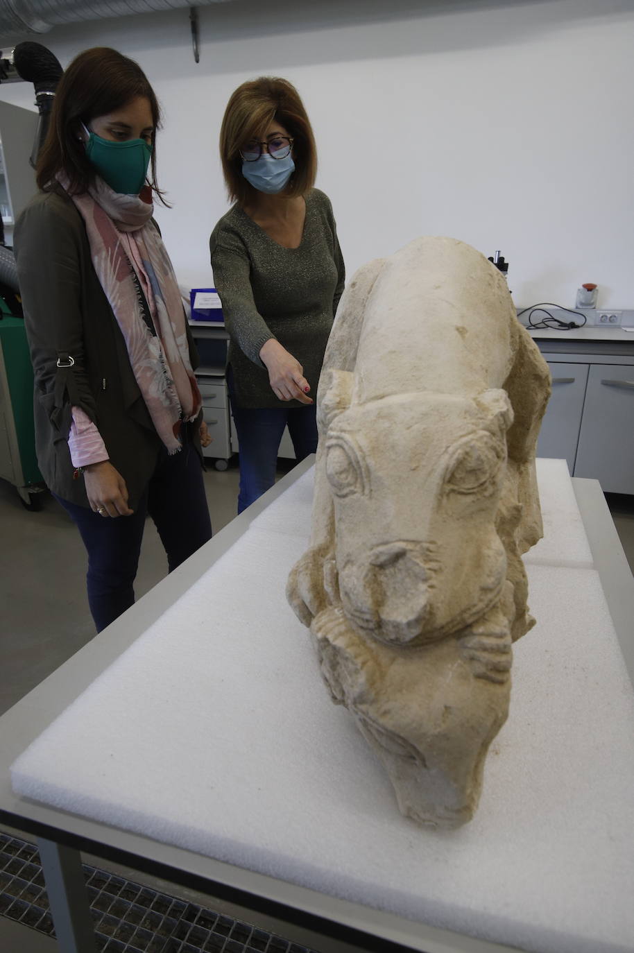 En imágenes, la leona íbera descubierta en La Rambla