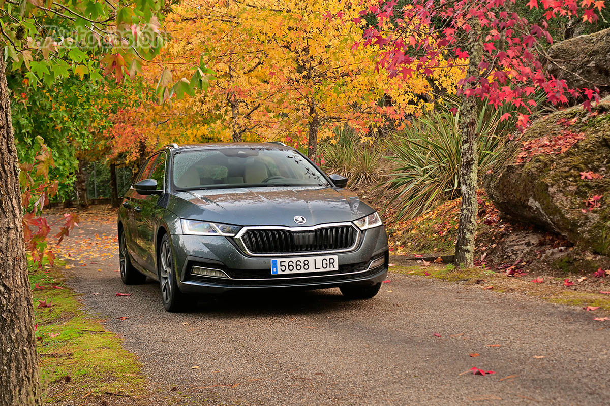 Fotogalería del nuevo Skoda Octavia Combi 2.0 TDi 2020