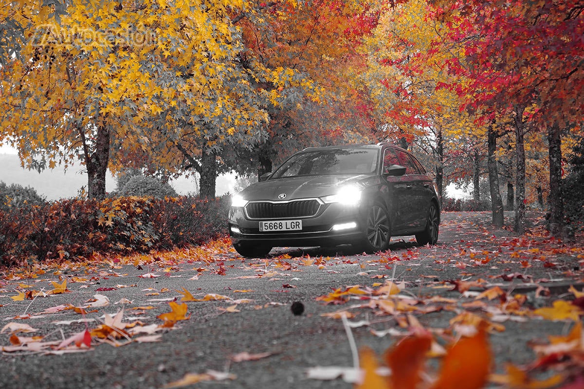 Fotogalería del nuevo Skoda Octavia Combi 2.0 TDi 2020