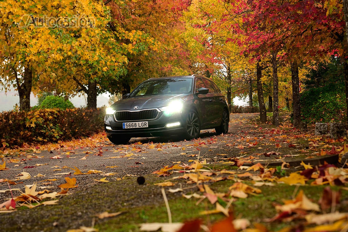 Fotogalería del nuevo Skoda Octavia Combi 2.0 TDi 2020