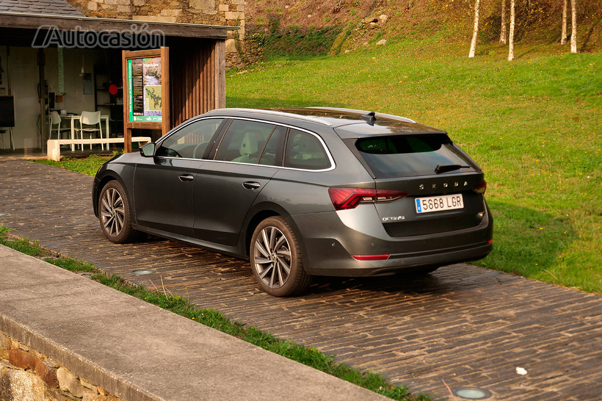 Fotogalería del nuevo Skoda Octavia Combi 2.0 TDi 2020