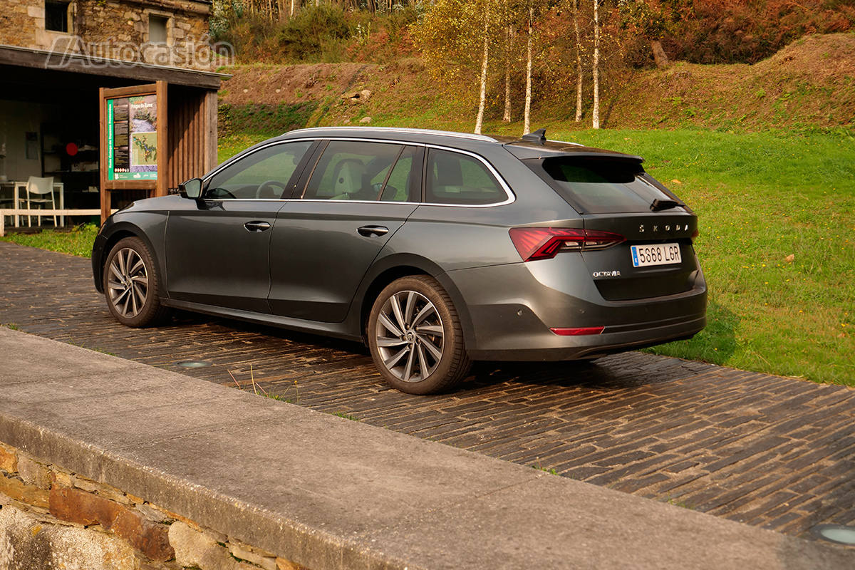 Fotogalería del nuevo Skoda Octavia Combi 2.0 TDi 2020