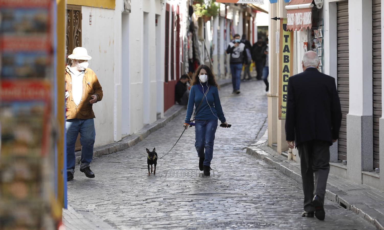 El poco ambiente de Córdoba en el puente de Todos los Santos, en imágenes