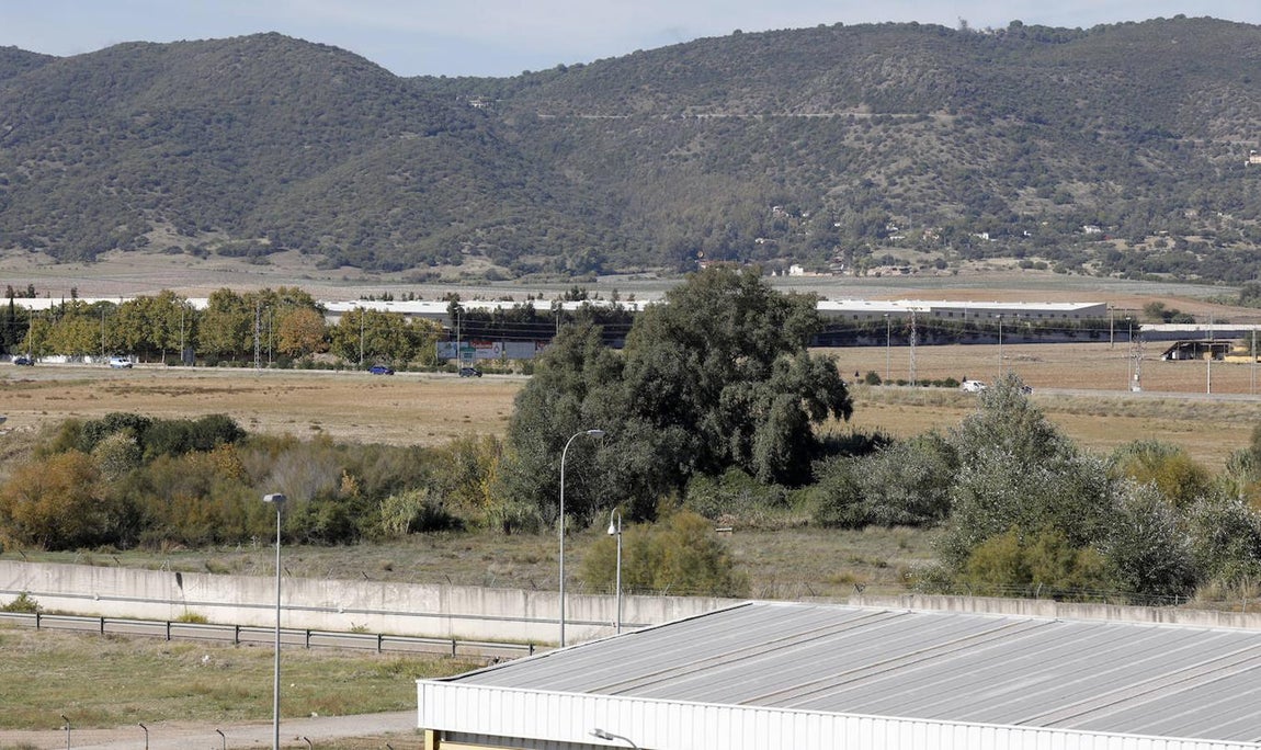 La Variante Oeste de Córdoba, en imágenes