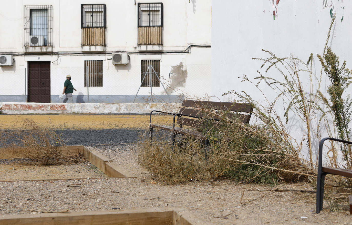 El solar del antiguo Cine Andalucía de Córdoba, en imágenes