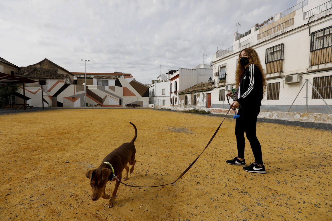 El solar del antiguo Cine Andalucía de Córdoba, en imágenes