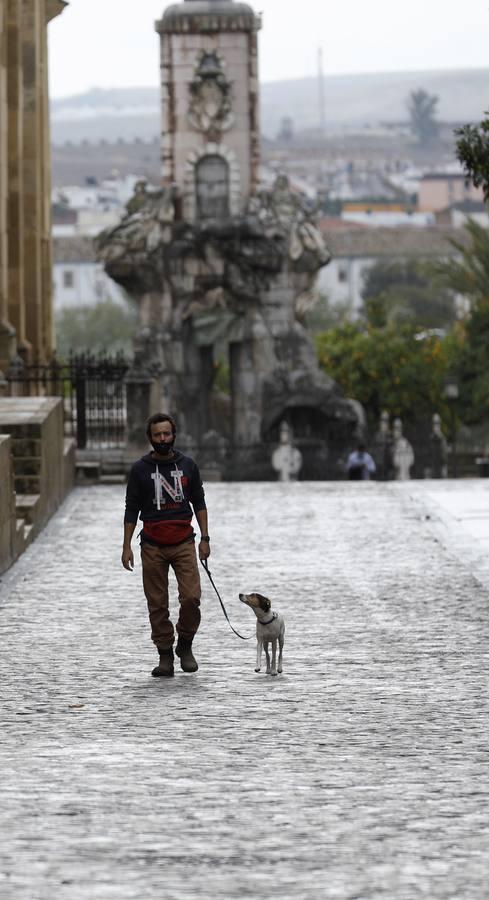 Córdoba desértica a última hora de la tarde, en imágenes