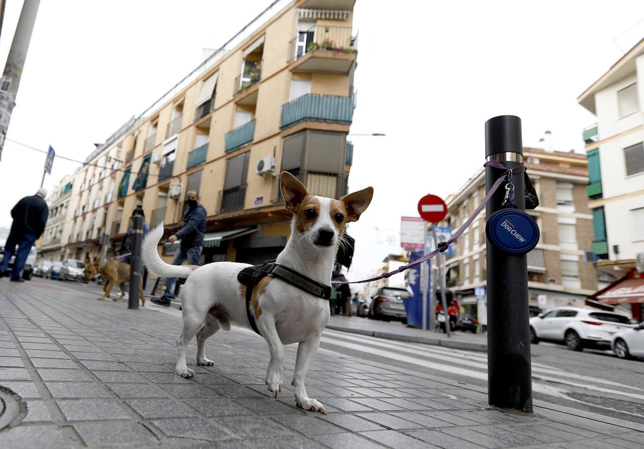 En imágenes, las compras en Jesús Rescatado y La Viñuela de Córdoba