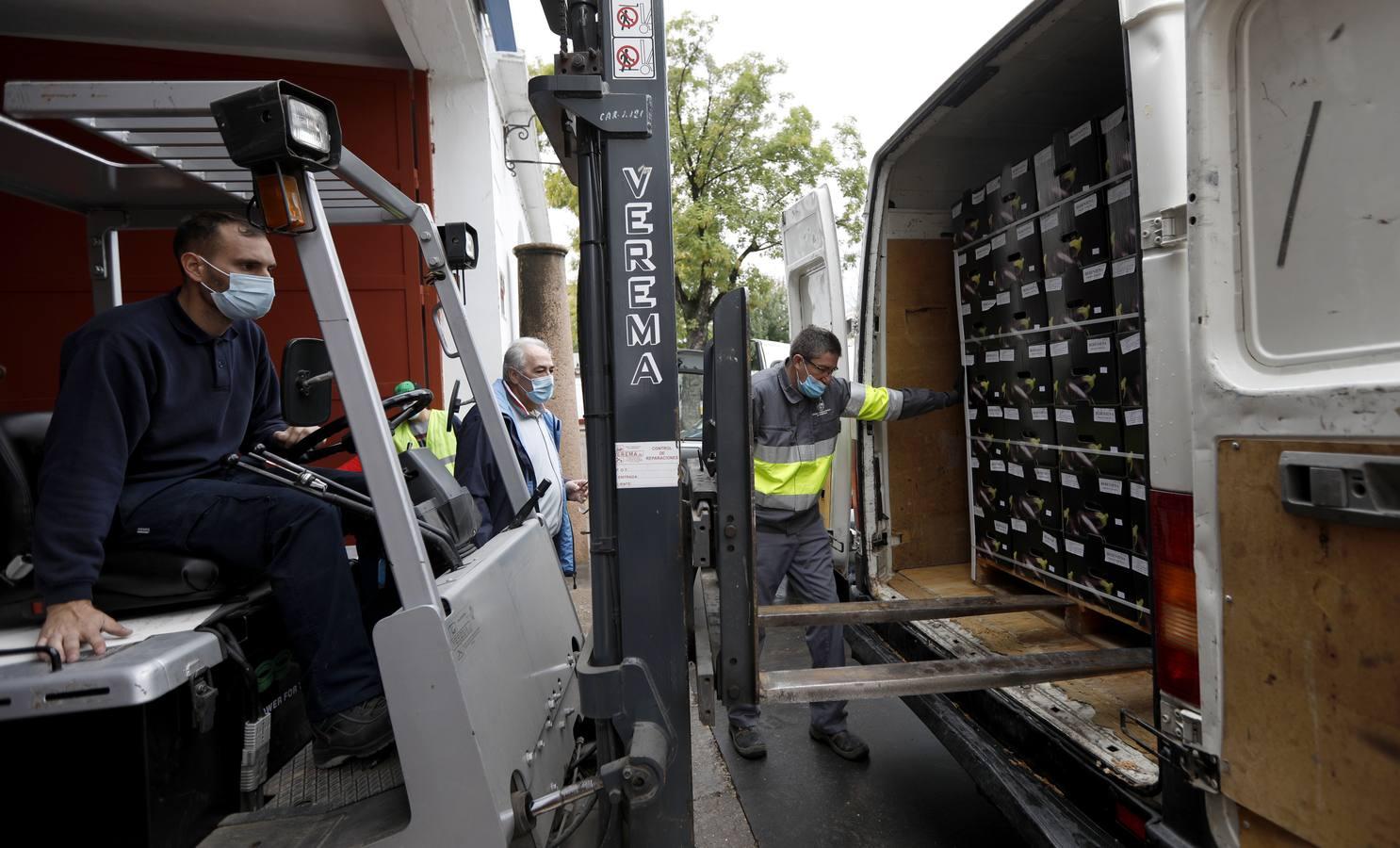 La labor de las ONGs de Córdoba en la pandemia, en imágenes