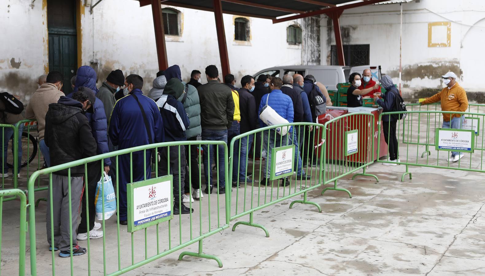 La labor de las ONGs de Córdoba en la pandemia, en imágenes