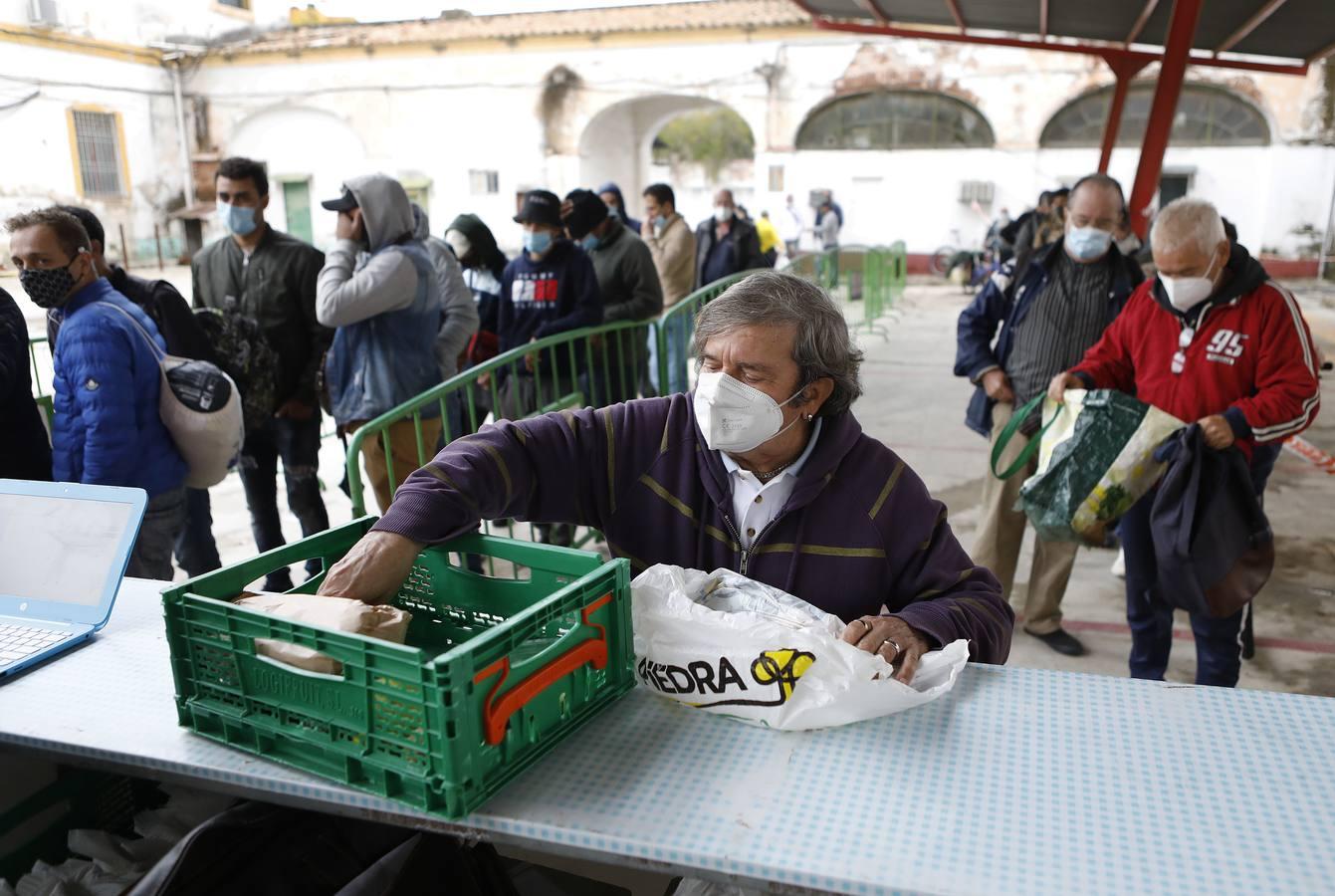 La labor de las ONGs de Córdoba en la pandemia, en imágenes