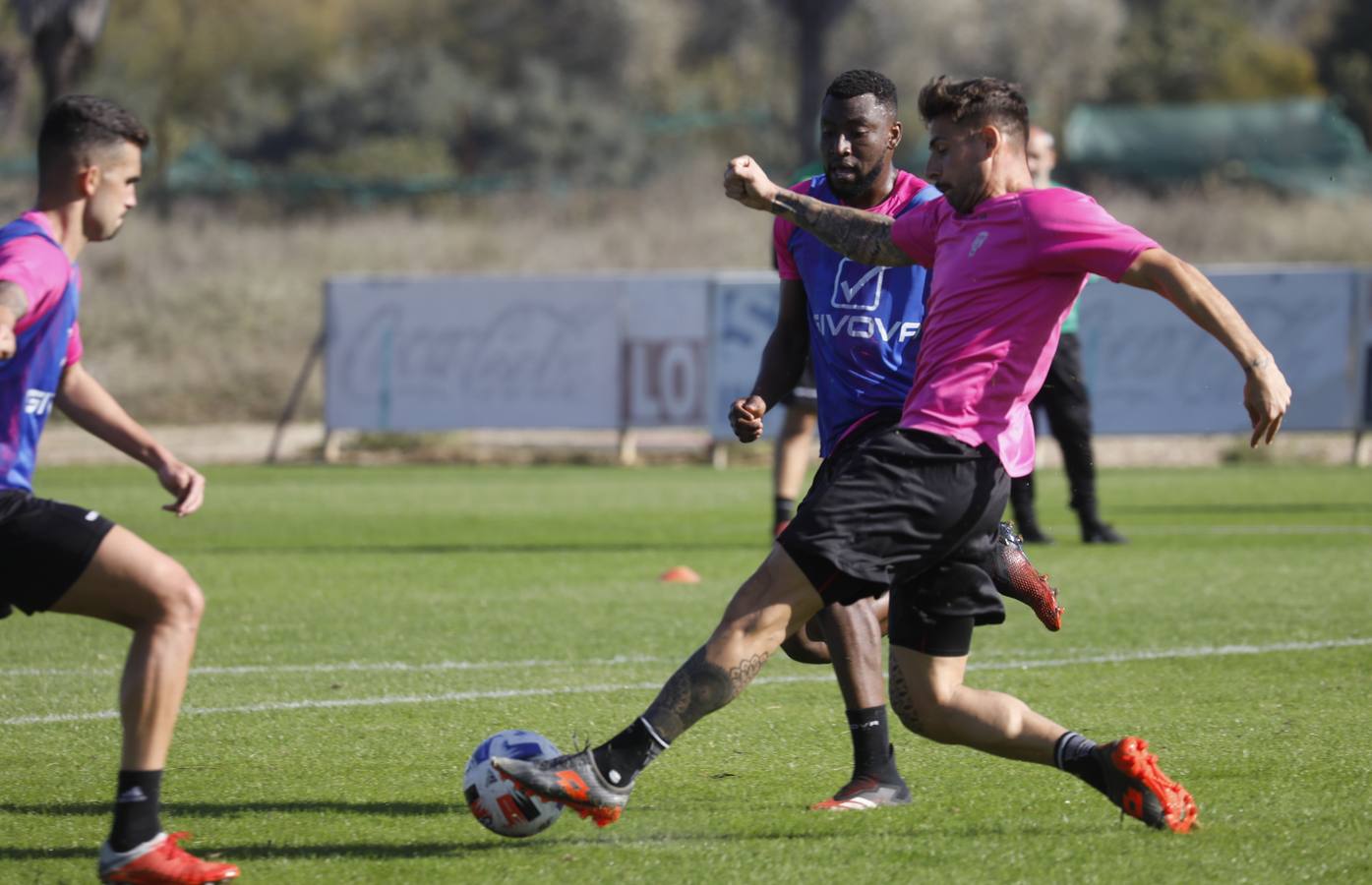 El entrenamiento del Córdoba CF sin De las Cuevas y Piovaccari, en imágenes