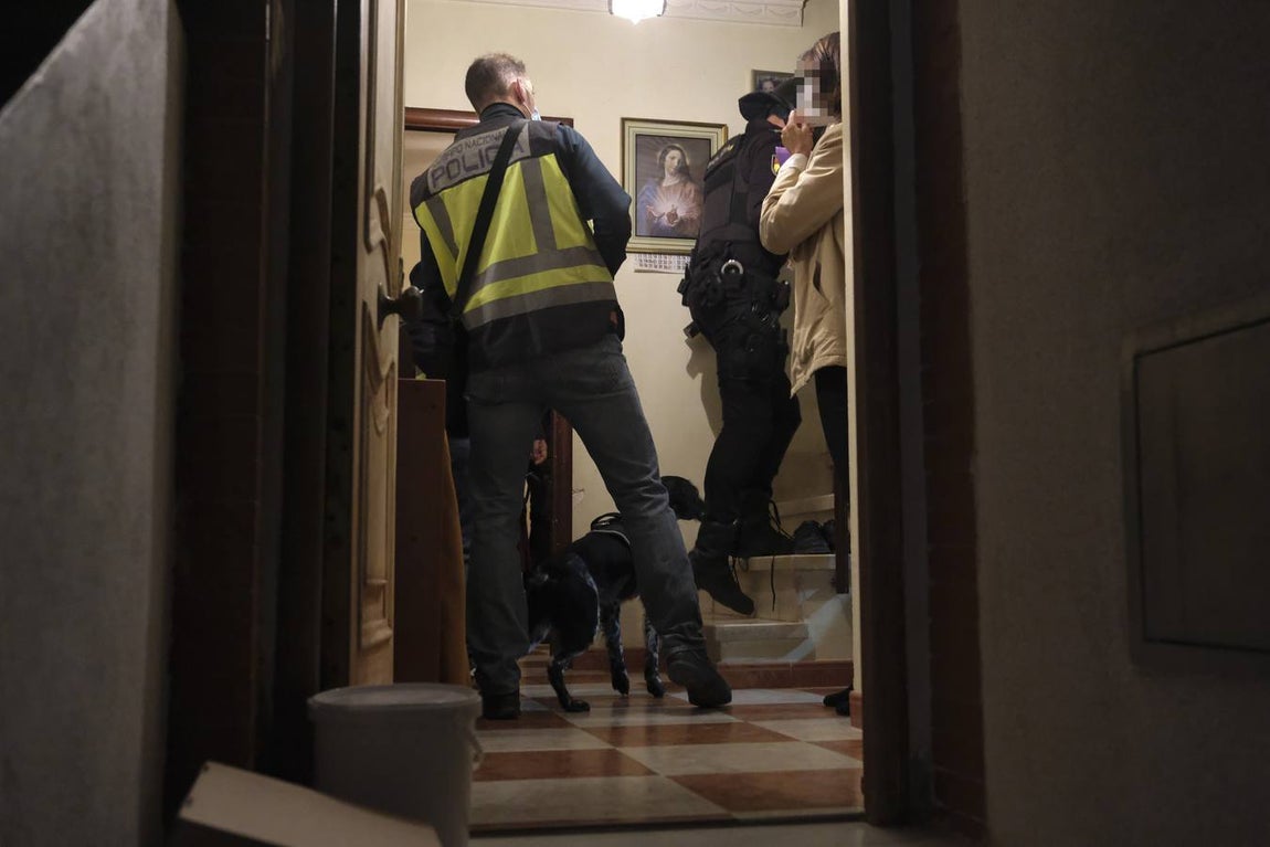 Operación de la Policía Nacional contra una red dedicada al tráfico de cocaína en Cádiz