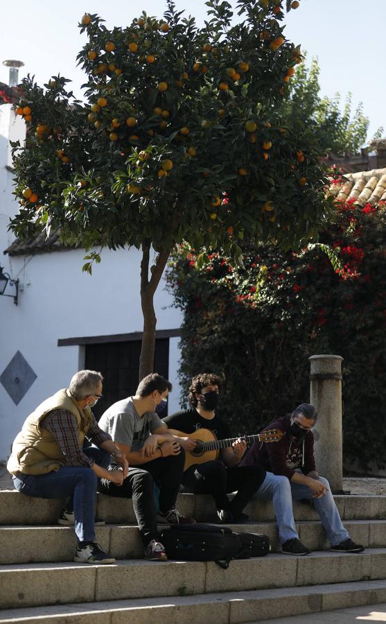 Córdoba bajo el sol de noviembre, en imágenes