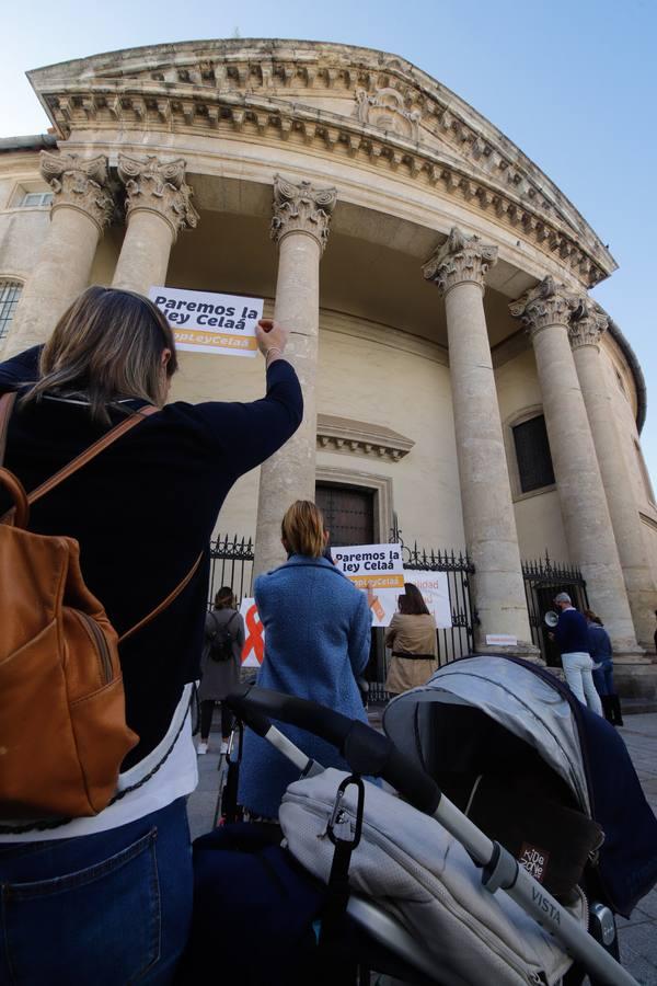 Las protestas contra la Ley Celaá en Córdoba, en imágenes