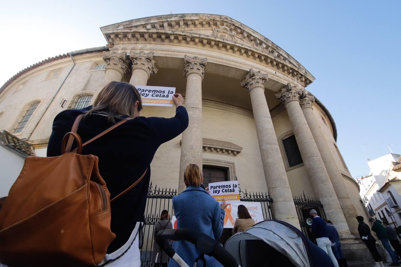 Las protestas contra la Ley Celaá en Córdoba, en imágenes