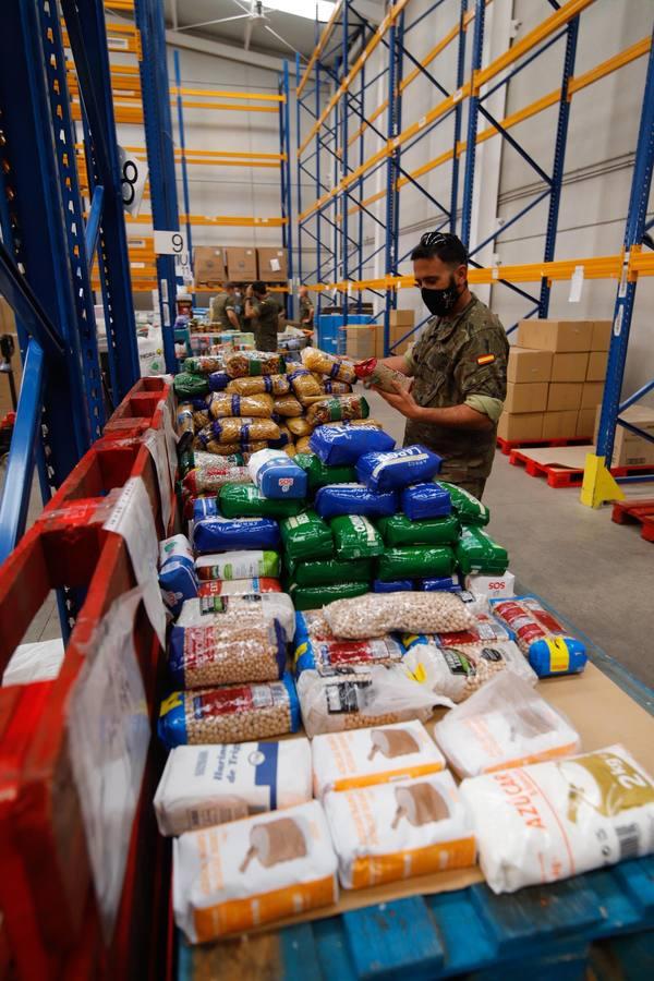 La misión más solidaria del Ejército en el Banco de Alimentos de Córdoba, en imágenes