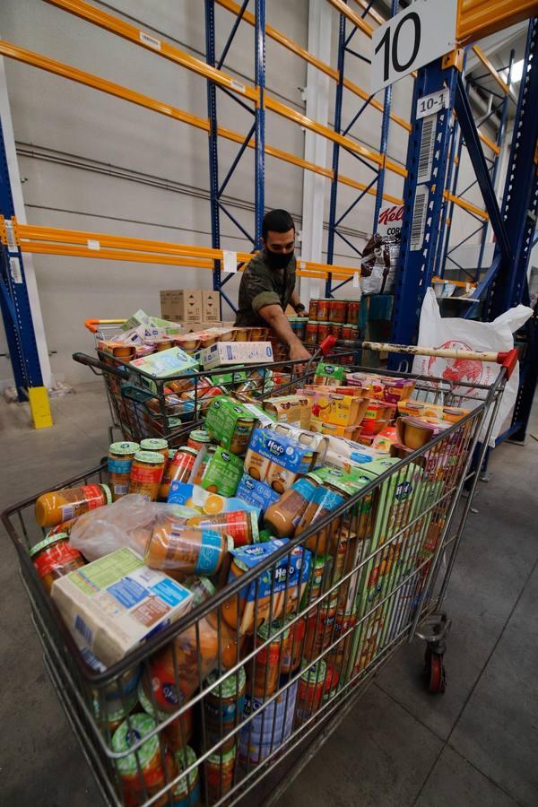 La misión más solidaria del Ejército en el Banco de Alimentos de Córdoba, en imágenes