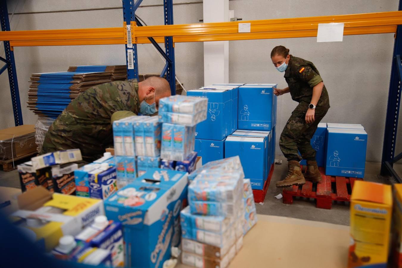 La misión más solidaria del Ejército en el Banco de Alimentos de Córdoba, en imágenes