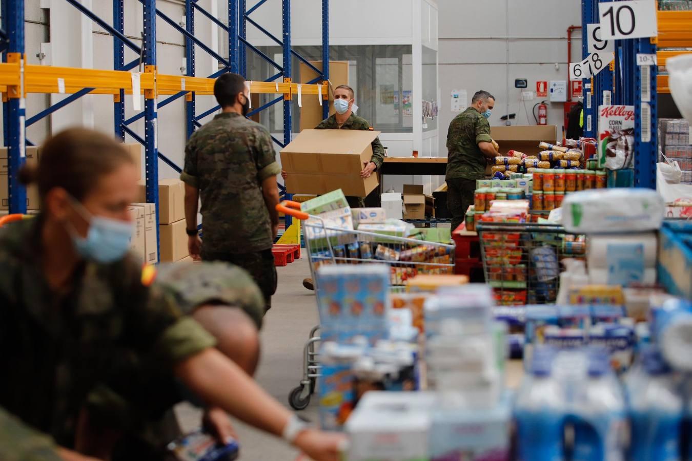 La misión más solidaria del Ejército en el Banco de Alimentos de Córdoba, en imágenes