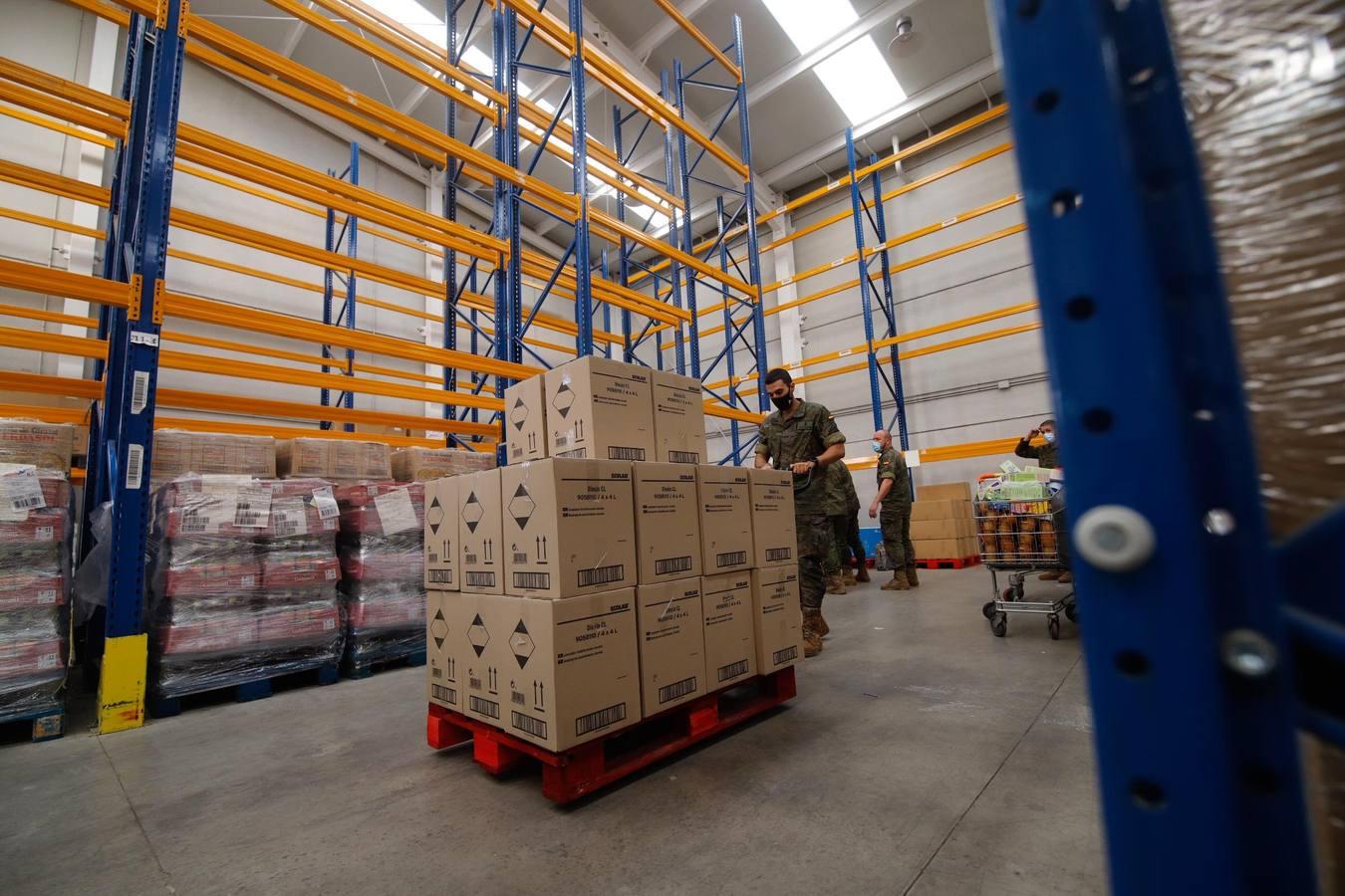 La misión más solidaria del Ejército en el Banco de Alimentos de Córdoba, en imágenes