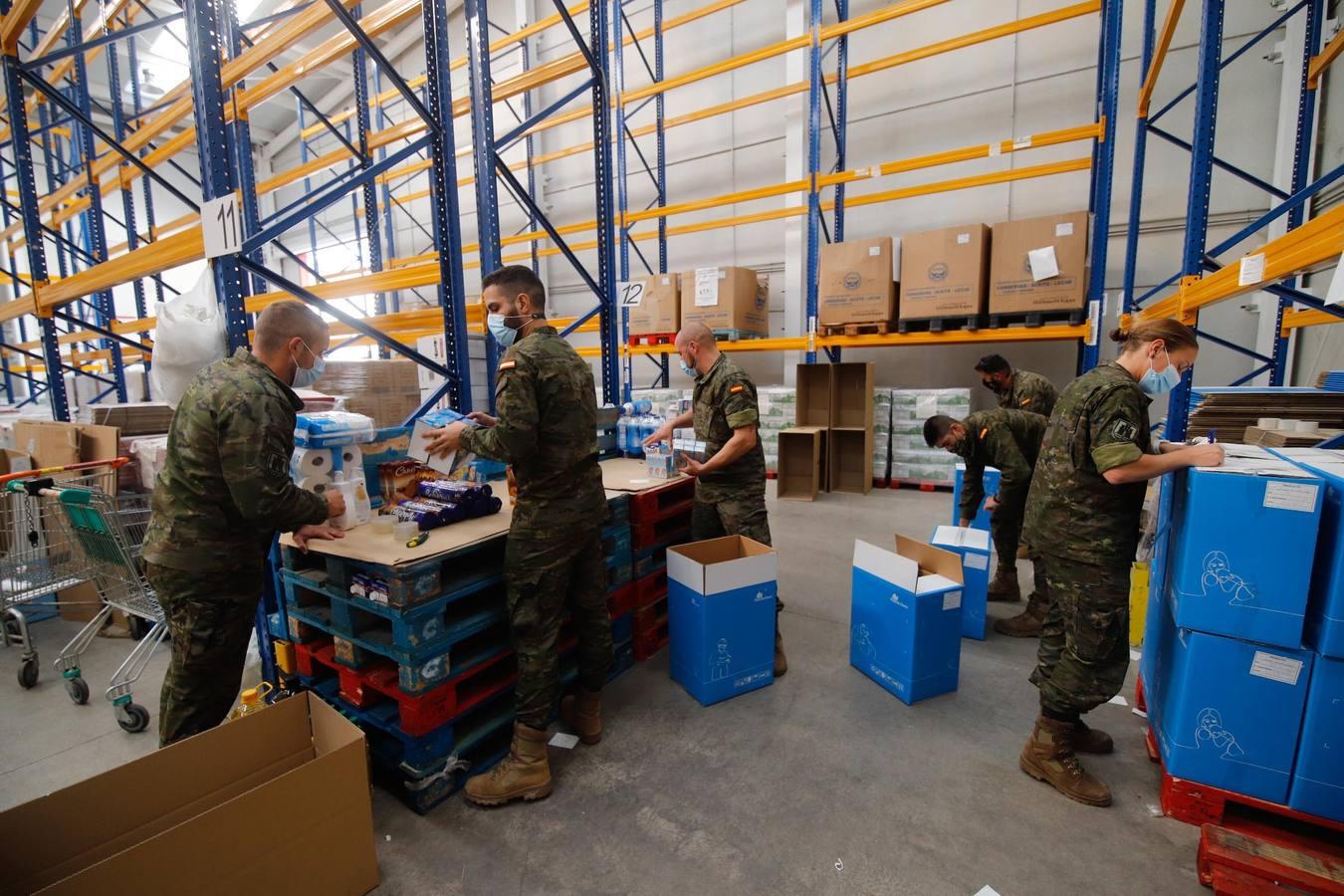 La misión más solidaria del Ejército en el Banco de Alimentos de Córdoba, en imágenes