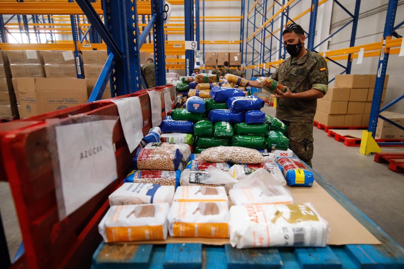 La misión más solidaria del Ejército en el Banco de Alimentos de Córdoba, en imágenes