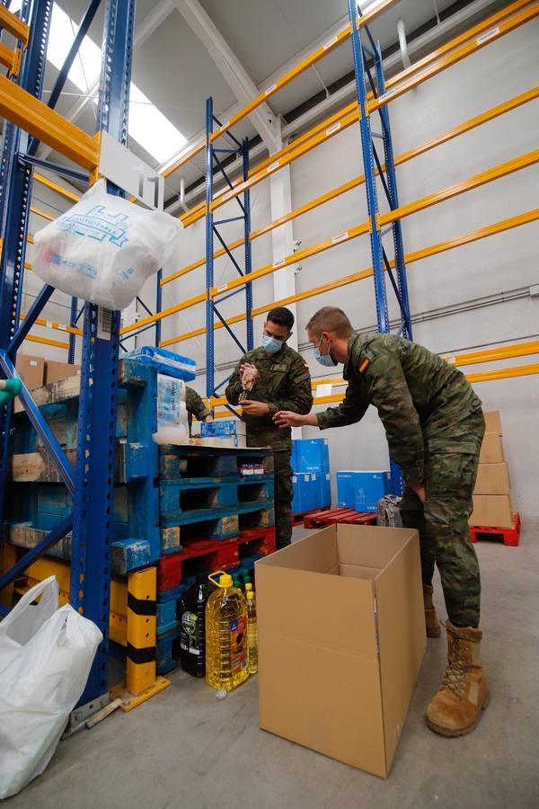 La misión más solidaria del Ejército en el Banco de Alimentos de Córdoba, en imágenes