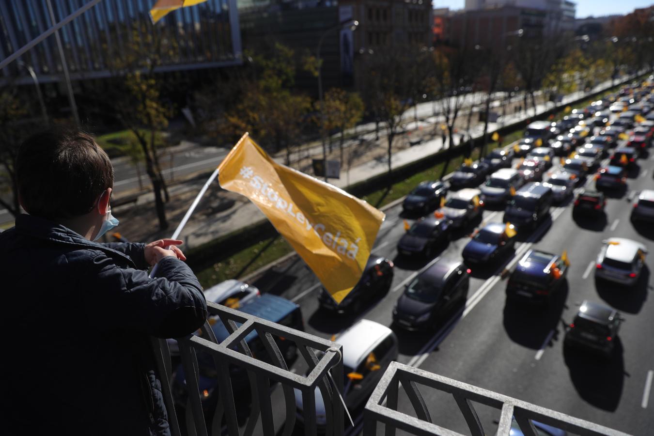 En imágenes: España protesta contra la «Ley Celaá»