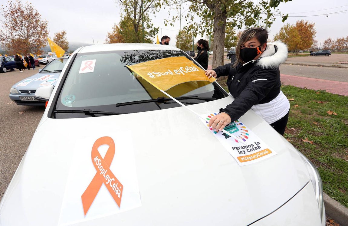 En imágenes: Toledo sale a calle contra la ley Celáa