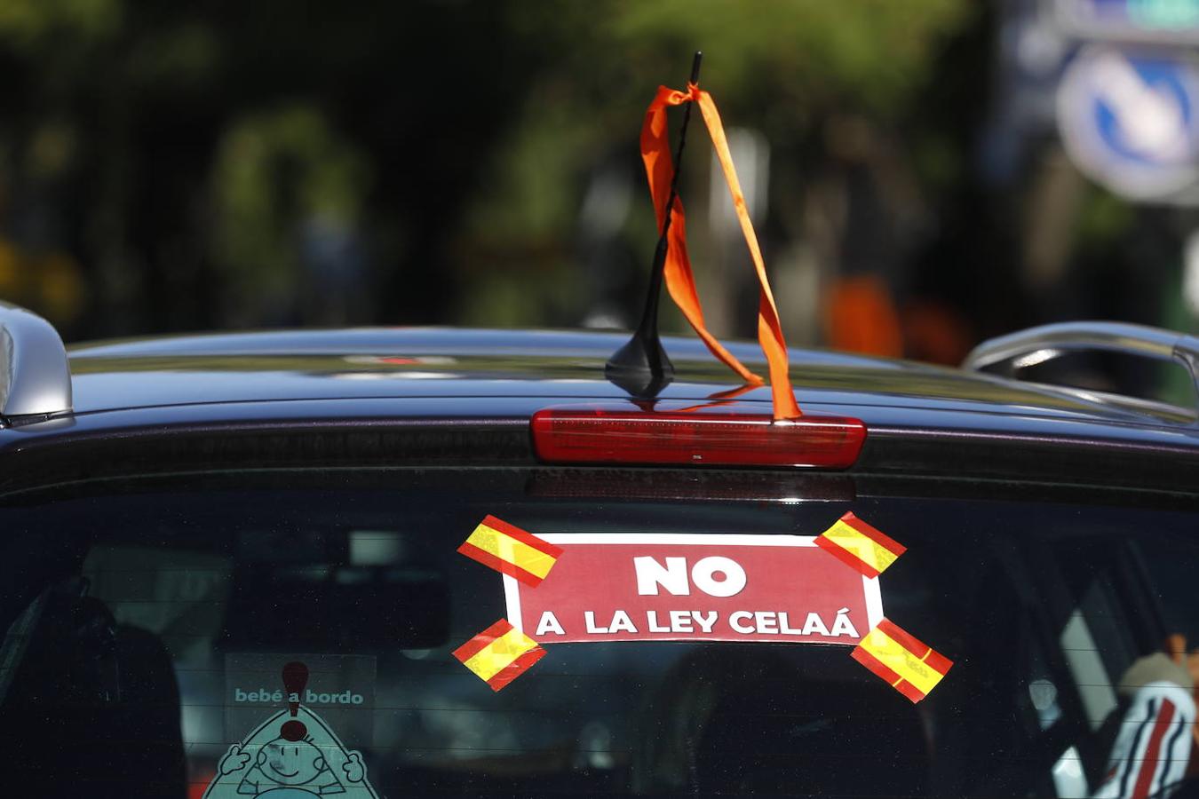 La protesta de la concertada contra la «Ley Celaá» en Córdoba, en imágenes