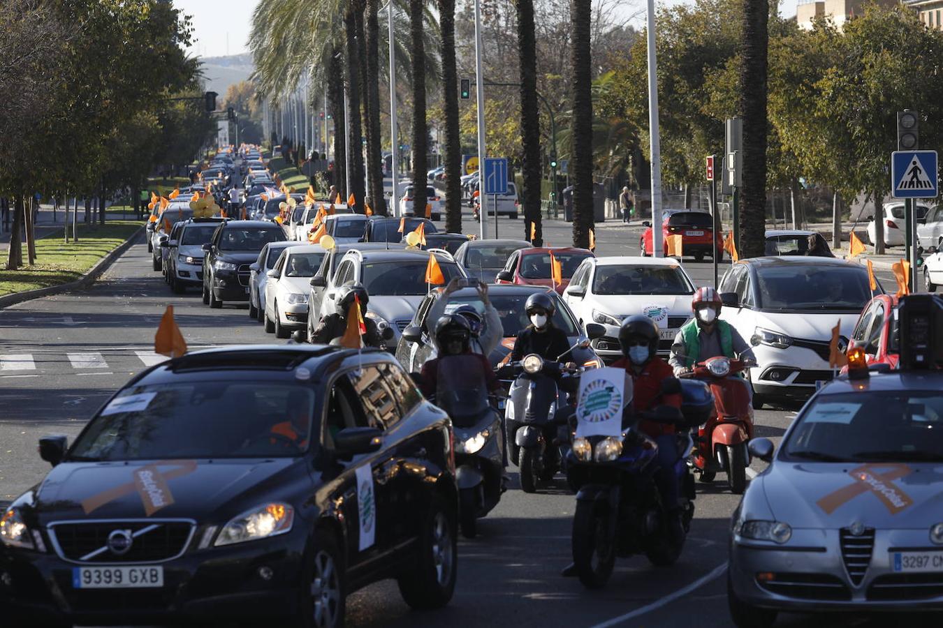 La protesta de la concertada contra la «Ley Celaá» en Córdoba, en imágenes