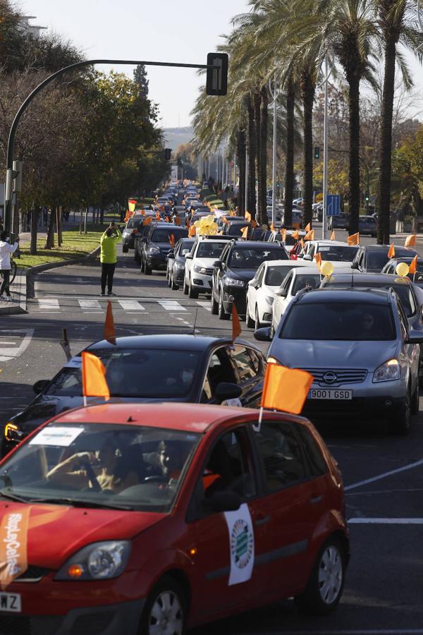 La protesta de la concertada contra la «Ley Celaá» en Córdoba, en imágenes