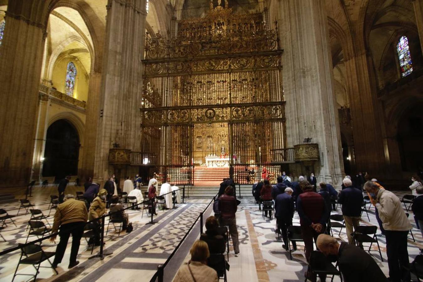 En imágenes, celebración de San Clemente en la Catedral