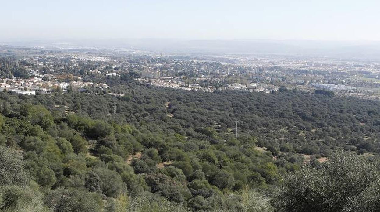 El esplendor del parque del Patriarca de Córdoba, en imágenes