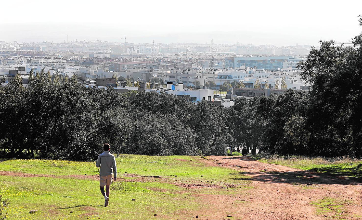 El esplendor del parque del Patriarca de Córdoba, en imágenes