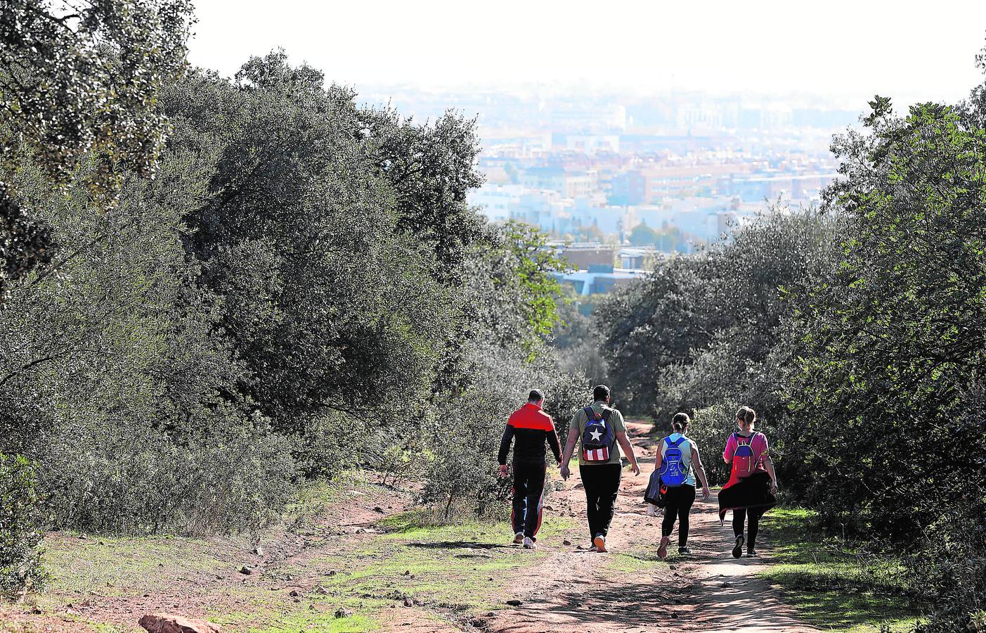 El esplendor del parque del Patriarca de Córdoba, en imágenes