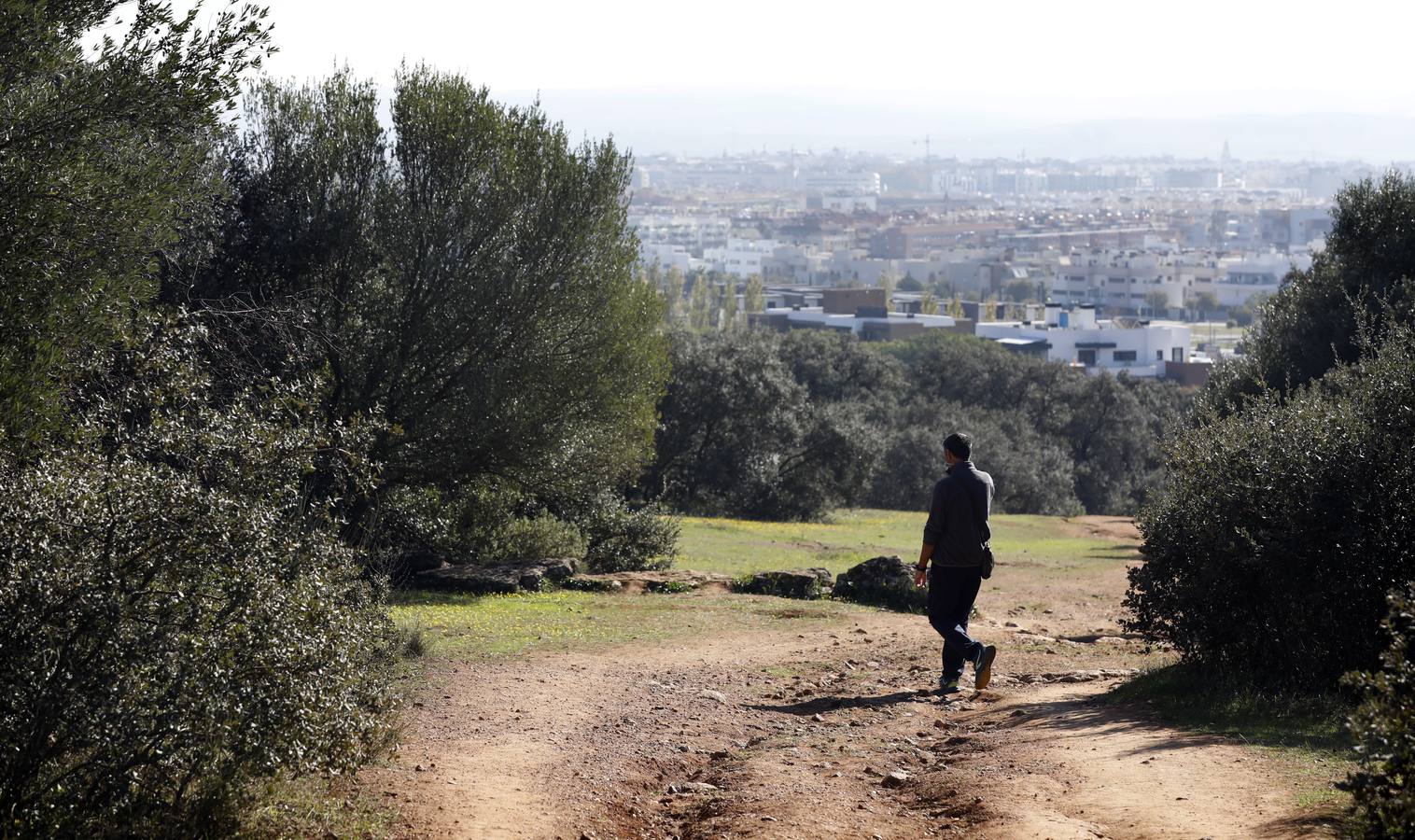 El esplendor del parque del Patriarca de Córdoba, en imágenes