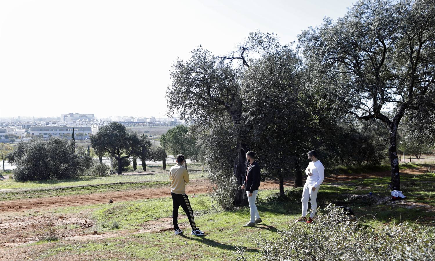 El esplendor del parque del Patriarca de Córdoba, en imágenes