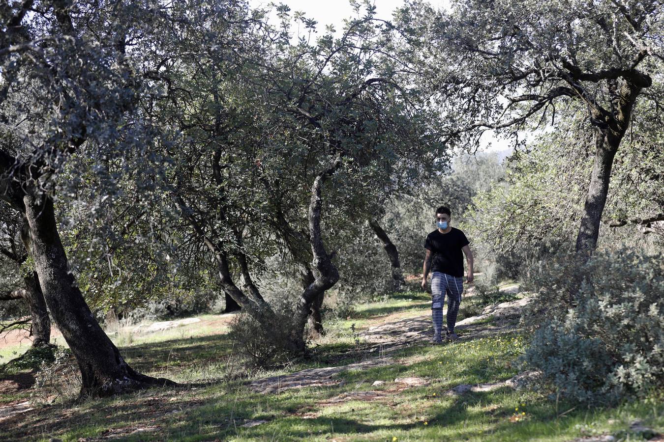 El esplendor del parque del Patriarca de Córdoba, en imágenes